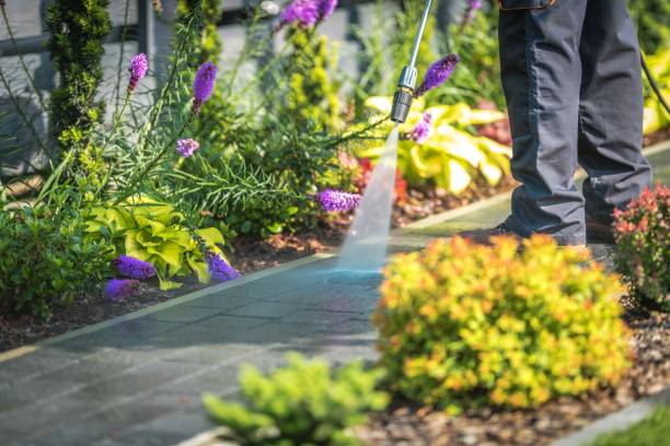 Best Warehouse Cleaning  in Pleasant Hill, CA