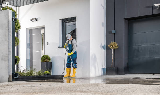 Animal Enclosure Cleaning in Pleasant Hill, CA